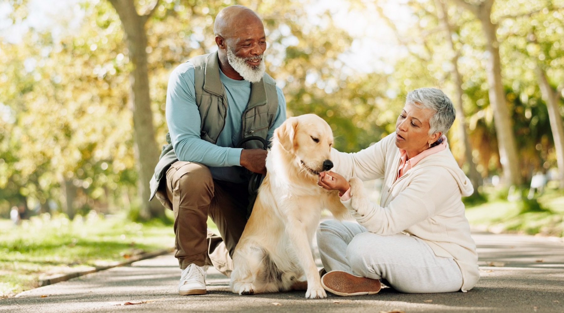 a couple petting a dog