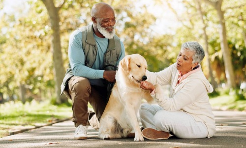 a couple petting their dog